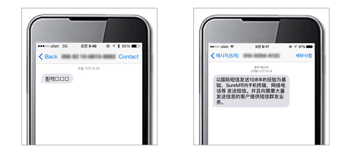 International message delivered with non-Latin characters intact, no corruption